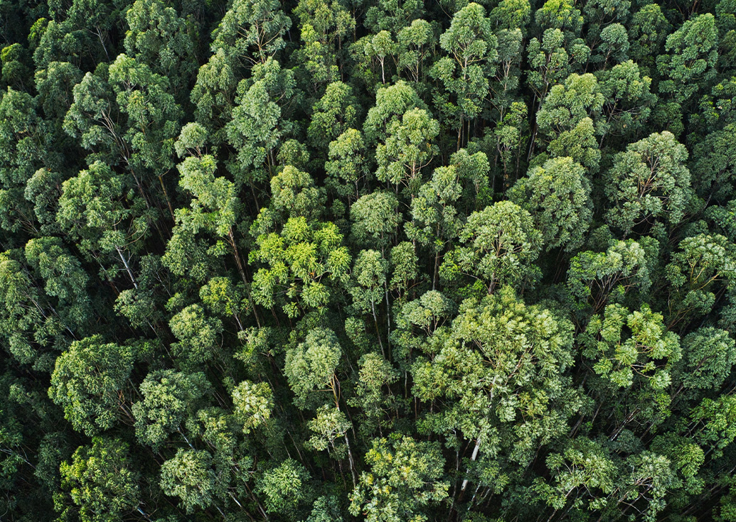 impegno per l'ambiente